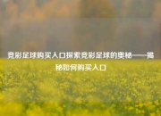 竞彩足球购买入口探索竞彩足球的奥秘——揭秘如何购买入口