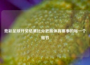 竞彩足球开奖结果比分把握体育赛事的每一个细节