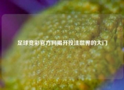 足球竞彩官方网揭开投注世界的大门
