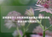 足球竞彩怎么分析预测精准把握足球竞彩胜机——数据分析与预测技巧