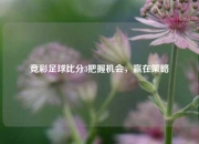 竞彩足球比分3把握机会，赢在策略