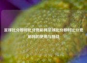 足球比分即时比分竞彩网足球比分即时比分竞彩网的使用与挑战