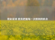 竞彩足球 胜负把握每一次胜利的机会