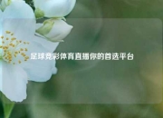 足球竞彩体育直播你的首选平台