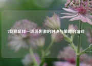 7竞彩足球一场场刺激的对决与策略的游戏