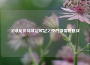 足球竞彩网欧冠欧冠之夜的激情与挑战