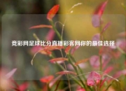 竞彩网足球比分直播彩客网你的最佳选择