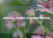 竞彩足球app在哪猜比分轻松预测比分的神器