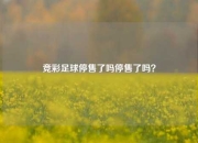 竞彩足球停售了吗停售了吗？