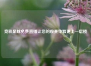 竞彩足球免费直播让您的观赛体验更上一层楼