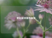 竞彩篮球推荐购买