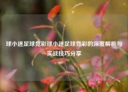 球小迷足球竞彩球小迷足球竞彩的深度解析与实战技巧分享