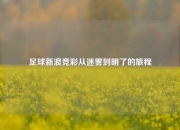 足球新浪竞彩从迷雾到明了的旅程