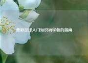 竞彩足球入门知识初学者的指南