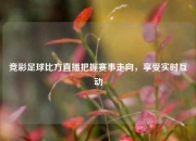 竞彩足球比方直播把握赛事走向，享受实时互动