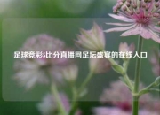 足球竞彩5比分直播网足坛盛宴的在线入口