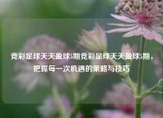 竞彩足球天天盈球5期竞彩足球天天盈球5期，把握每一次机遇的策略与技巧
