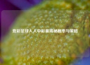 竞彩足球人人中彩票揭秘概率与策略
