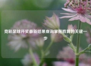 竞彩足球开奖最新结果查询掌握胜算的关键一步