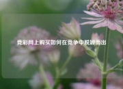 竞彩网上购买如何在竞争中脱颖而出