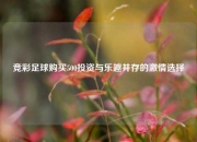 竞彩足球购买500投资与乐趣并存的激情选择