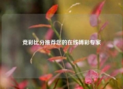 竞彩比分推荐您的在线博彩专家
