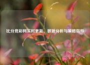 比分竞彩网实时更新、数据分析与策略指导