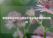 雪缘竞彩足球比分揭秘冬季足球盛宴的精彩瞬间