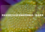 竞彩足球比分让胜1把握胜利的机会，赢得更多