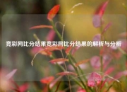 竞彩网比分结果竞彩网比分结果的解析与分析