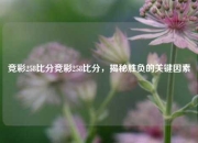 竞彩258比分竞彩258比分，揭秘胜负的关键因素