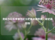 竞彩今日实单推荐比分把握关键胜机，锁定高回报