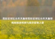 竞彩足球比分天天盈球竞彩足球比分天天盈球揭秘精准预测与高效管理之道