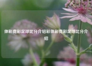 体彩竞彩足球比分介绍彩体彩竞彩足球比分介绍