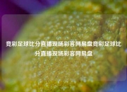 竞彩足球比分直播现场彩客网易盘竞彩足球比分直播现场彩客网易盘