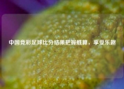 中国竞彩足球比分结果把握胜算，享受乐趣