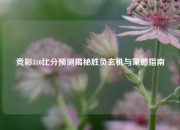 竞彩310比分预测揭秘胜负玄机与策略指南