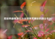 竞彩网最精准比分全球体育博彩的顶尖平台