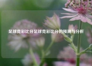 足球竞彩比分足球竞彩比分的预测与分析