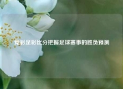 竞彩足彩比分把握足球赛事的胜负预测