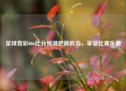 足球竞彩006比分预测把握机会，享受比赛乐趣