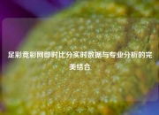 足彩竞彩网即时比分实时数据与专业分析的完美结合