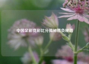 中国足彩竞彩比分揭秘胜负秘籍