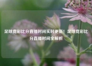足球竞彩比分直播时间实时更新！足球竞彩比分直播时间全解析
