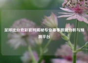 足球比分竞彩官网揭秘专业赛事数据分析与预测平台