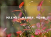 体育足球竞彩比分把握胜算，享受乐趣