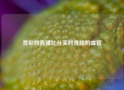 竞彩网直播比分实时竞技的盛宴