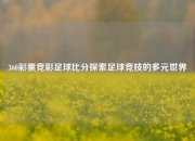 360彩票竞彩足球比分探索足球竞技的多元世界
