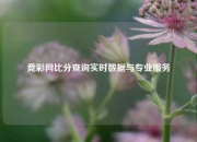 竞彩网比分查询实时数据与专业服务