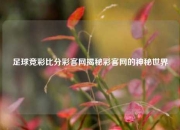 足球竞彩比分彩客网揭秘彩客网的神秘世界
